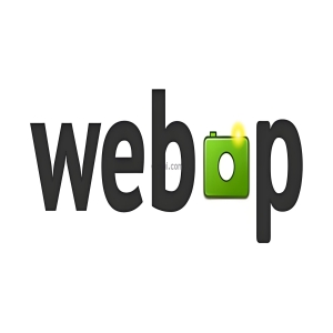 iis安装好之后默认是没有.webp后缀名类型，访问这种格式的图片提示404配置步骤如下：打开 IIS 管理器。在左侧导航窗格中，选择服务器节点。这通常是您的计